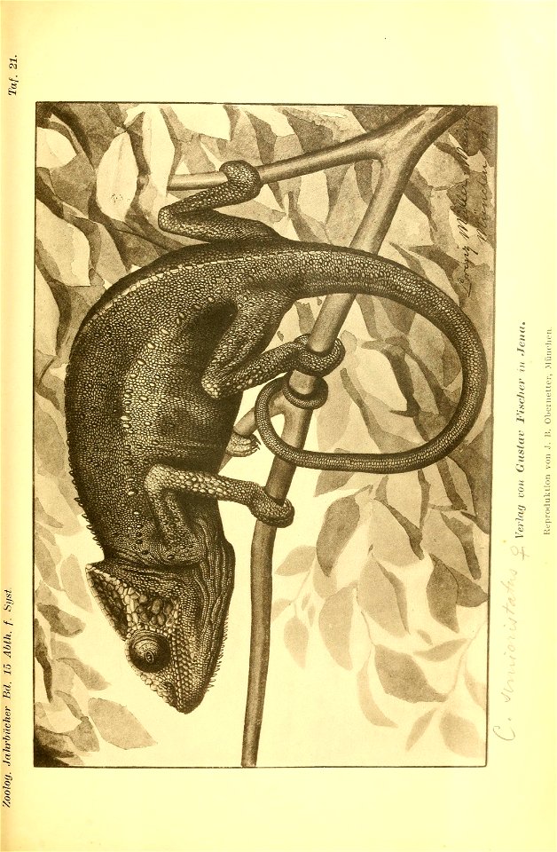 n190_w1150