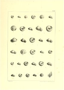 n814_w1150