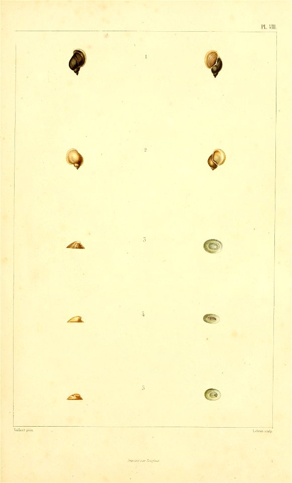 n164_w1150