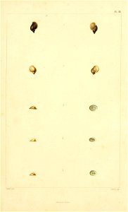 n164_w1150