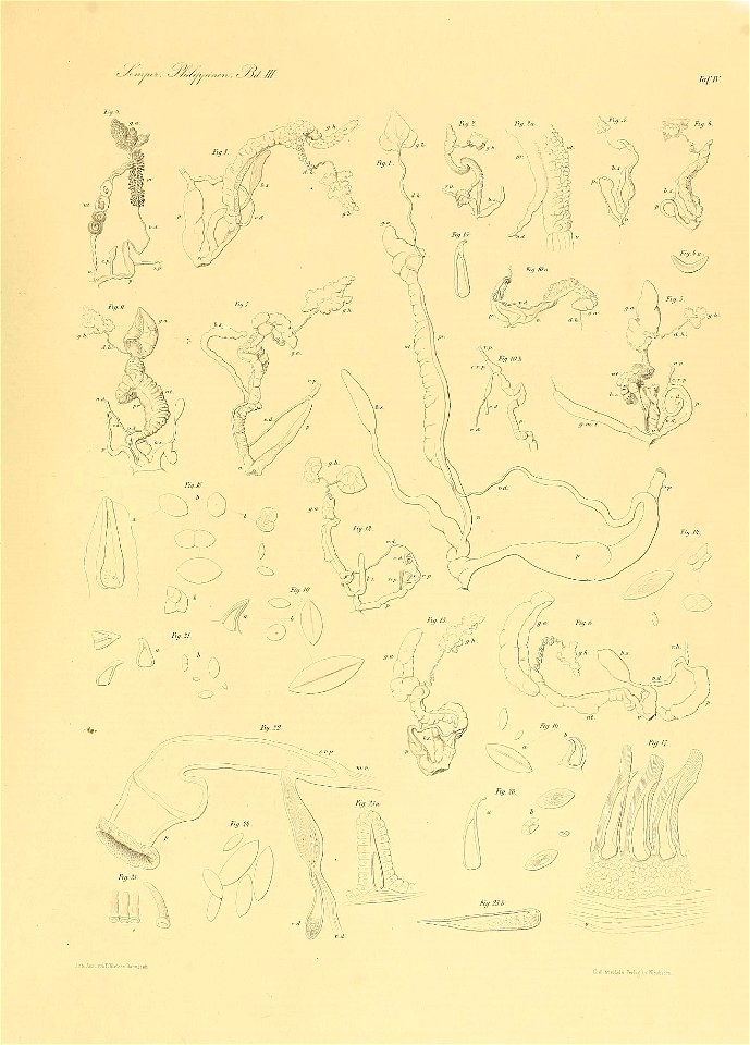 n352_w1150