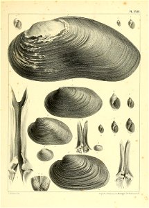 n870_w1150