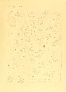 n348_w1150