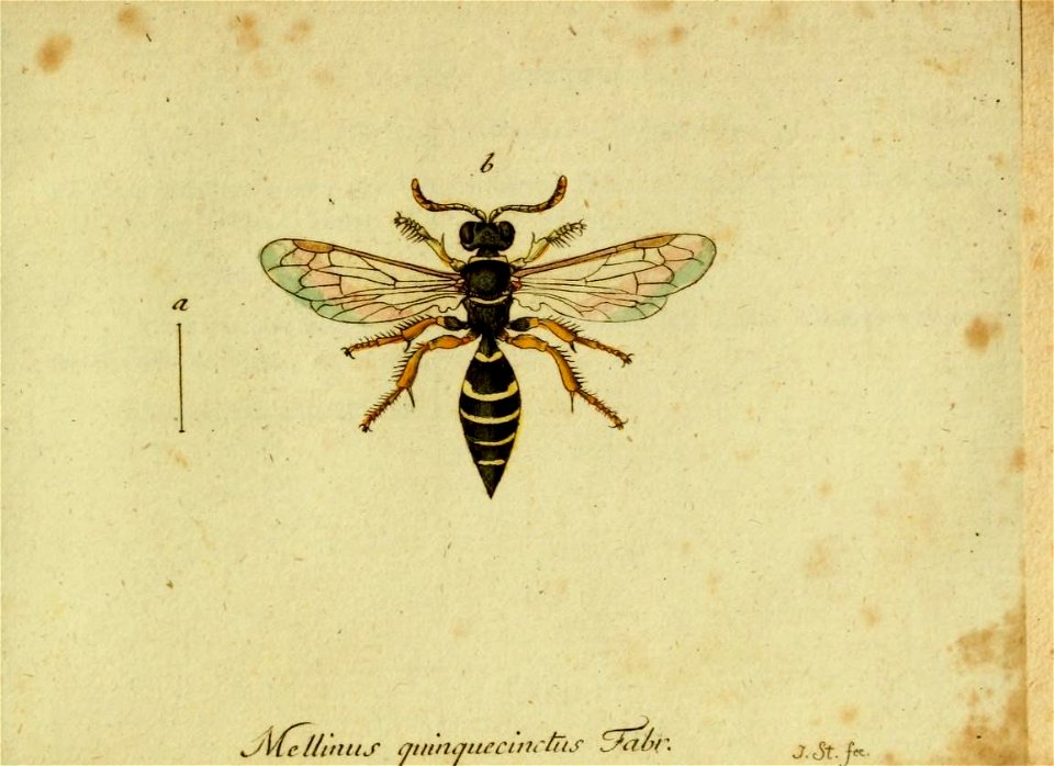 n558_w1150