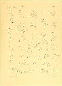 n382_w1150