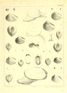 n898_w1150