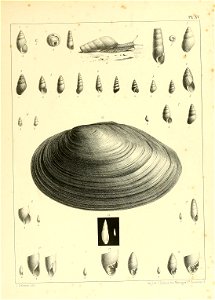 n838_w1150