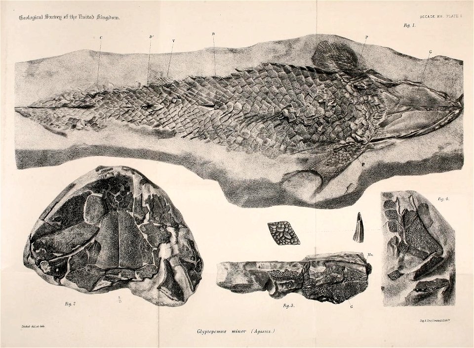 n472_w1150
