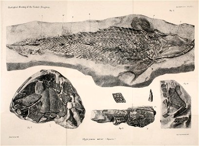 n472_w1150