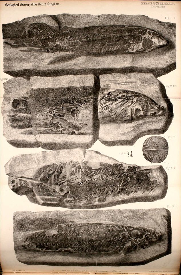 n329_w1150