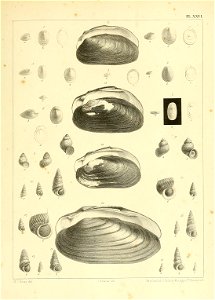 n882_w1150