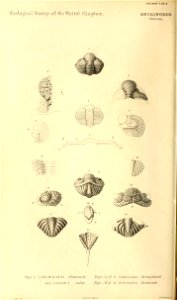 n53_w1150