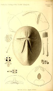 n365_w1150