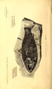n173_w1150