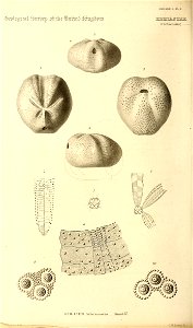 n359_w1150