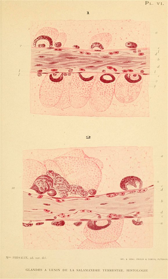 n172_w1150