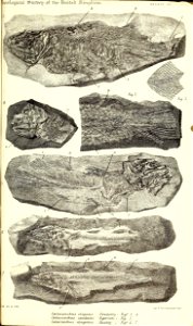 n532_w1150