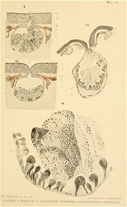 n168_w1150