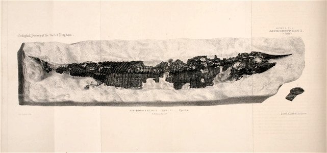 n157_w1150