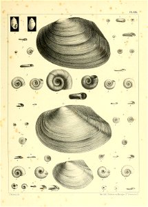 n862_w1150