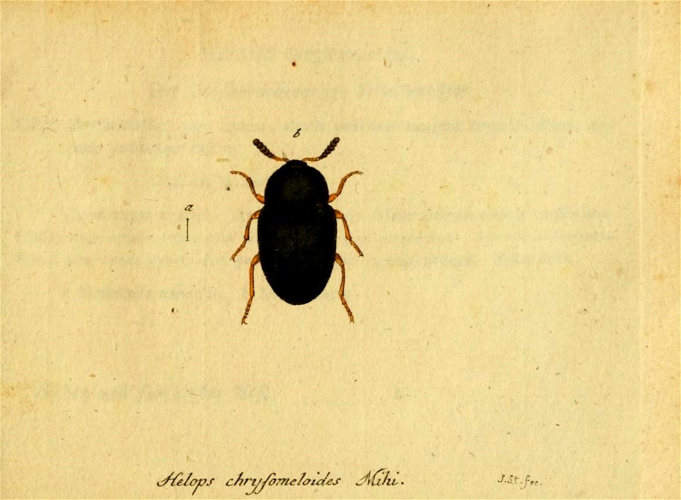n206_w1150