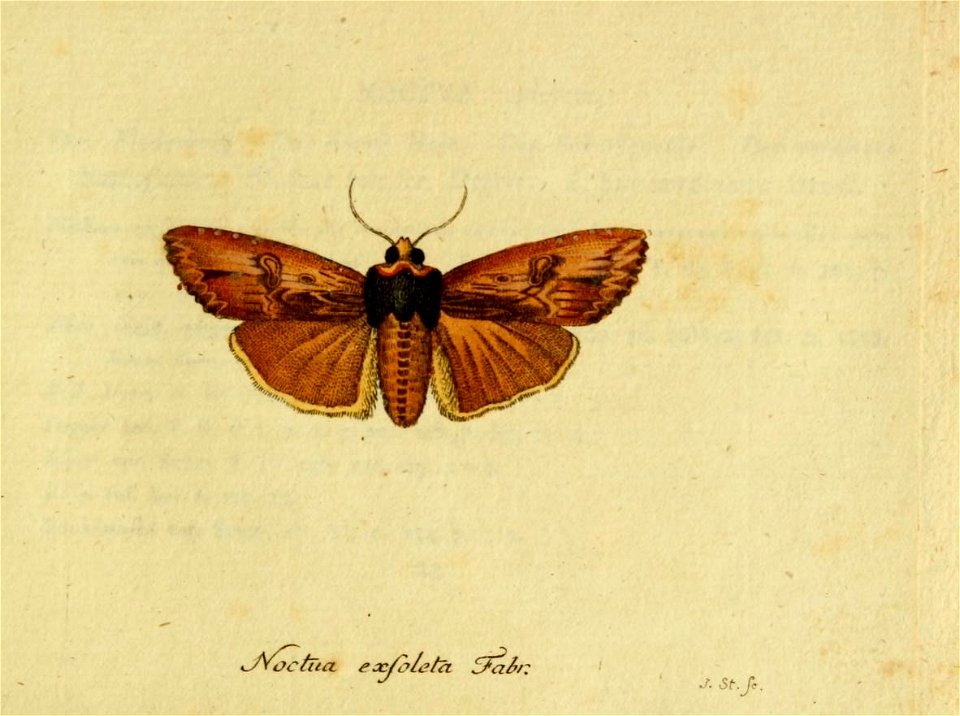 n94_w1150