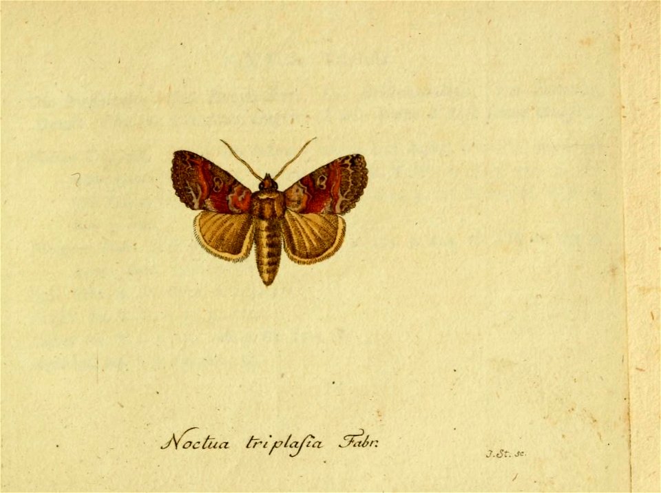 n90_w1150