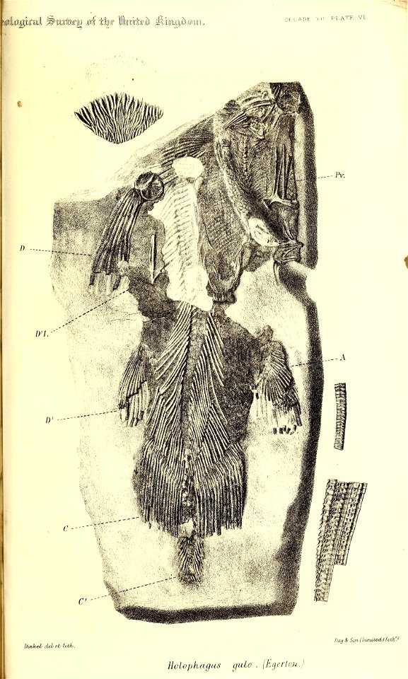 n506_w1150