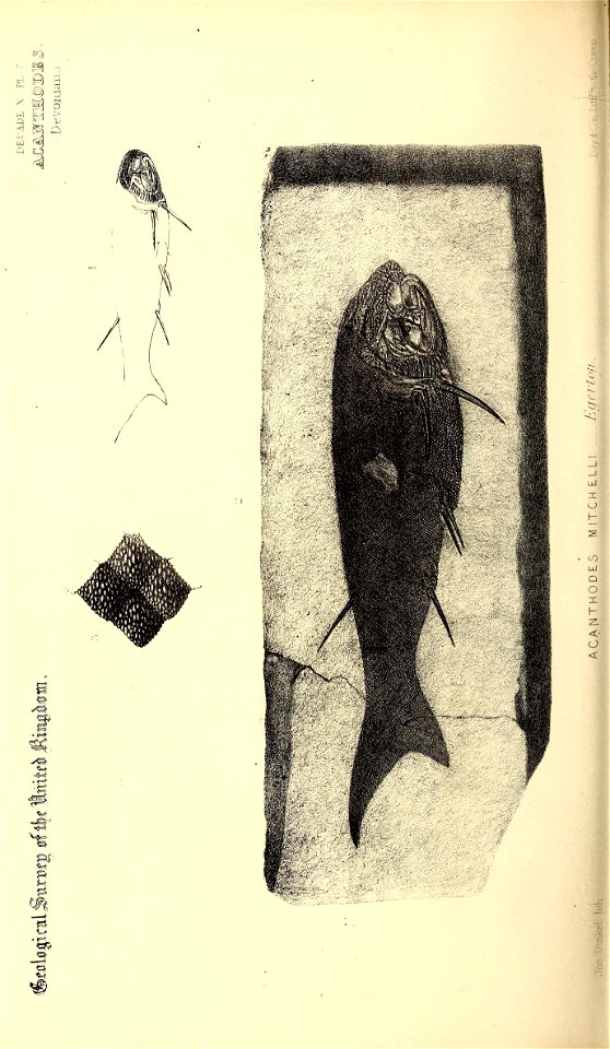 n353_w1150