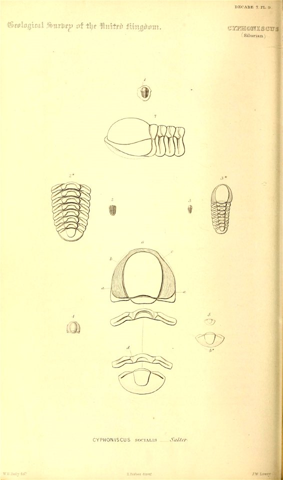 n107_w1150