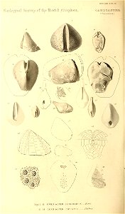 n279_w1150