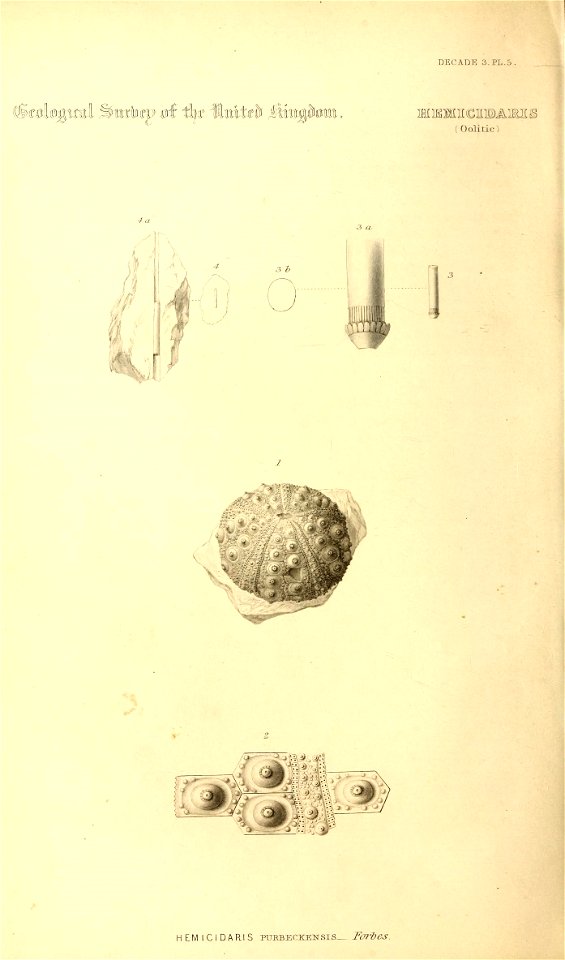 n167_w1150