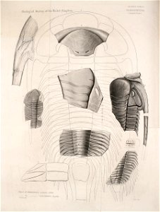 n457_w1150