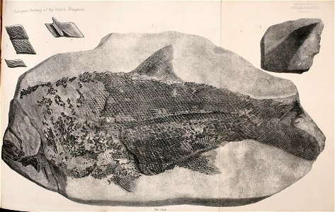 n204_w1150