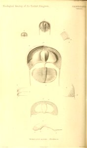 n83_w1150