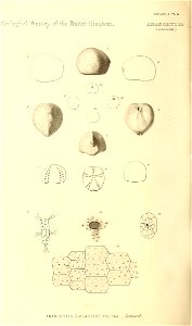n267_w1150