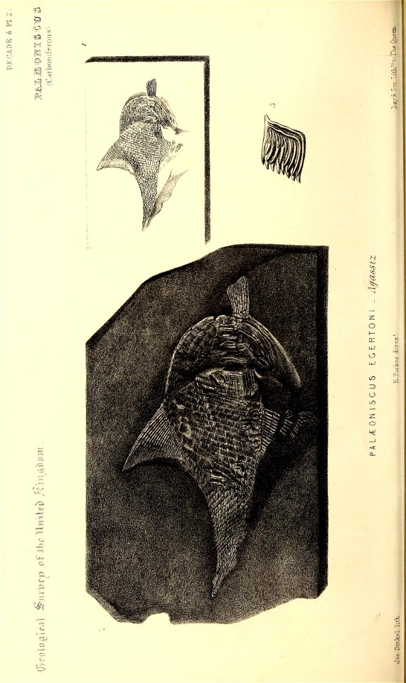 n393_w1150