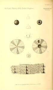 n49_w1150
