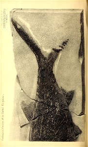 n183_w1150