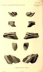 n387_w1150