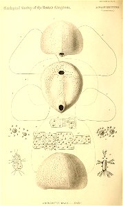 n251_w1150