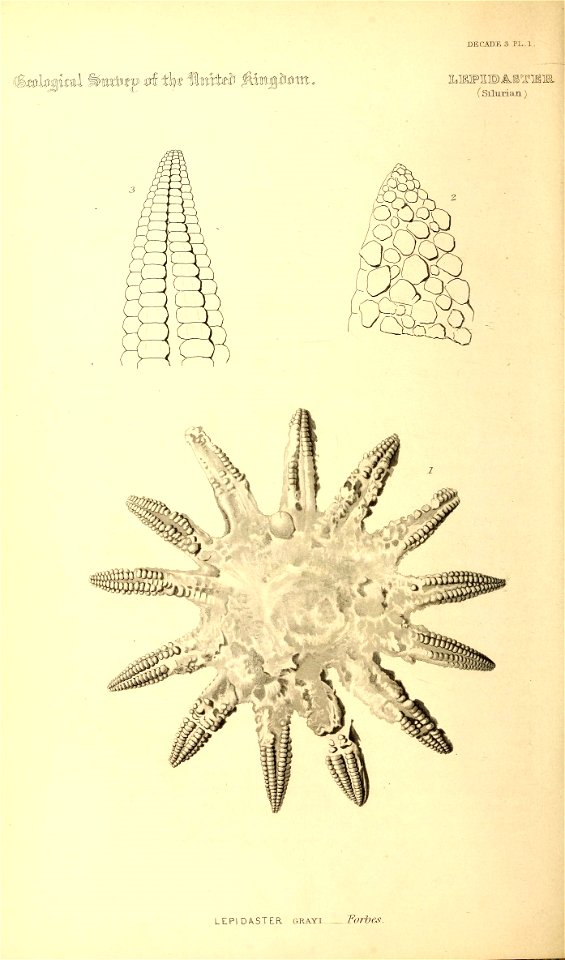 n149_w1150