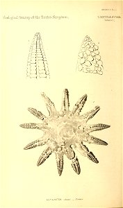 n149_w1150
