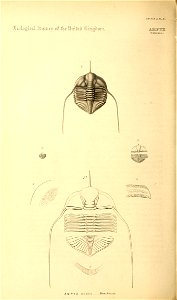 n137_w1150