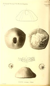 n353_w1150