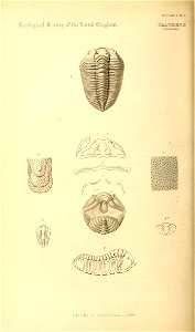 n127_w1150