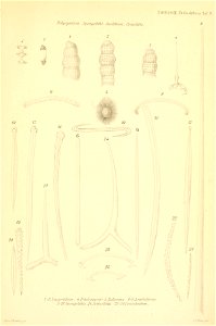 n528_w1150