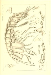n428_w1150