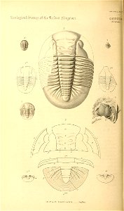n121_w1150