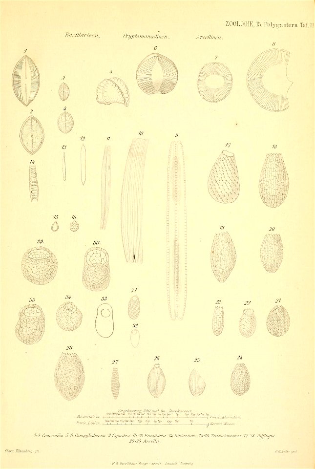 n526_w1150